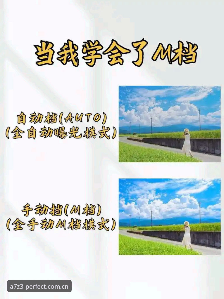 如何完成完美最新版本评测？新手必看的完整指南